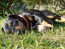 121: Paul 05-11-15 0082