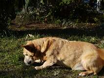 74: Paul 05-11-15 0084