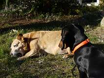 66: Paul 05-11-15 0086