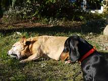 100: Paul 05-11-15 0087