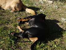 11: Paul 05-11-15 0088