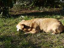 6: Paul 05-11-15 0089