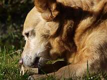 98: Paul 05-11-15 0090