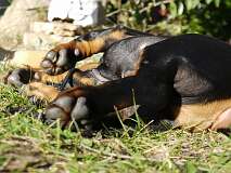 93: Paul 05-11-15 0091