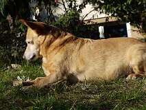 105: Paul 05-11-15 0092