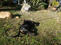 108: Paul 05-11-15 0094