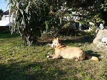 58: Paul 05-11-15 0095