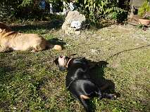 96: Paul 05-11-15 0096