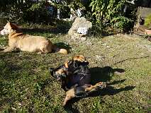 41: Paul 05-11-15 0097