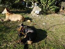 97: Paul 05-11-15 0098