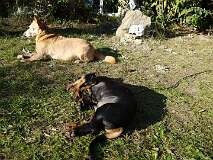 45: Paul 05-11-15 0099