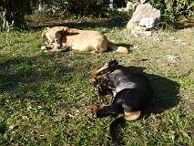 102: Paul 05-11-15 0100