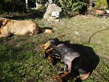 81: Paul 05-11-15 0101