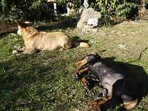 68: Paul 05-11-15 0102