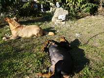 62: Paul 05-11-15 0103