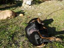 51: Paul 05-11-15 0104