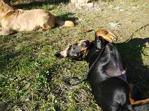 54: Paul 05-11-15 0105