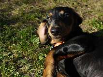 52: Paul 05-11-15 0106