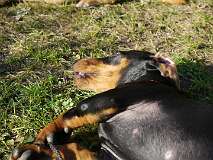 22: Paul 05-11-15 0107