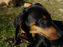 10: Paul 05-11-15 0108