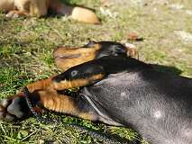 114: Paul 05-11-15 0109