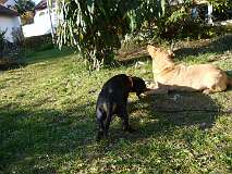 4: Paul 05-11-15 0111