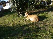 53: Paul 05-11-15 0112