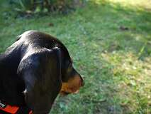 14: Paul 05-11-15 0113