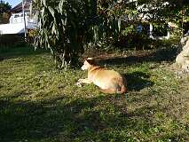 79: Paul 05-11-15 0114