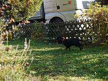 12: Paul 05-11-15 0115