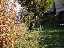 90: Paul 05-11-15 0116