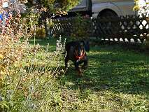 15: Paul 05-11-15 0117