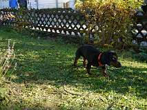 59: Paul 05-11-15 0118