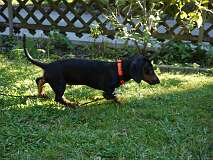 24: Paul 05-11-15 0119