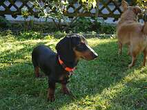 99: Paul 05-11-15 0121