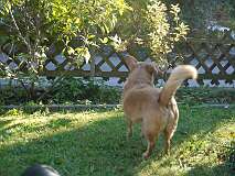 3: Paul 05-11-15 0122