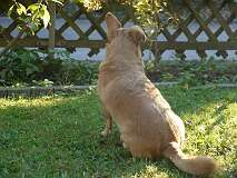 44: Paul 05-11-15 0123