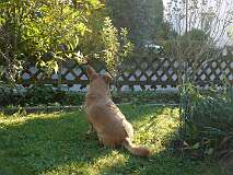 16: Paul 05-11-15 0124