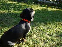 17: Paul 05-11-15 0125