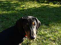 7: Paul 05-11-15 0126