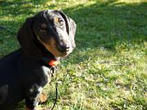 18: Paul 05-11-15 0127