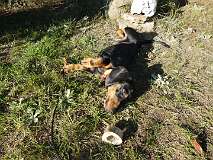 34: Paul 05-11-15 0129