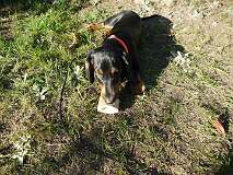 5: Paul 05-11-15 0131