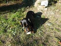 56: Paul 05-11-15 0132