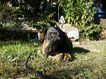 91: Paul 05-11-15 0133