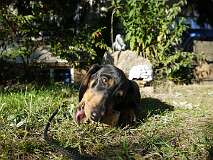 43: Paul 05-11-15 0134