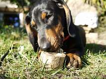 94: Paul 05-11-15 0135