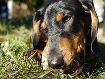 29: Paul 05-11-15 0136