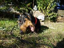 113: Paul 05-11-15 0137