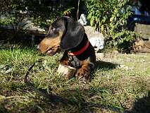 92: Paul 05-11-15 0138